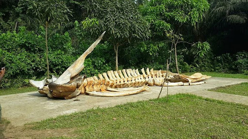 10 Must-See Places in Rivers State, Nigeria (2025)