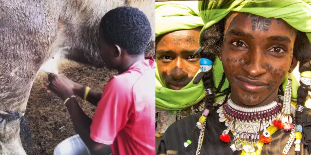 Nomadic Tourism in Nigeria: Experience the Pastoral Way of Life with Indigenous Herders