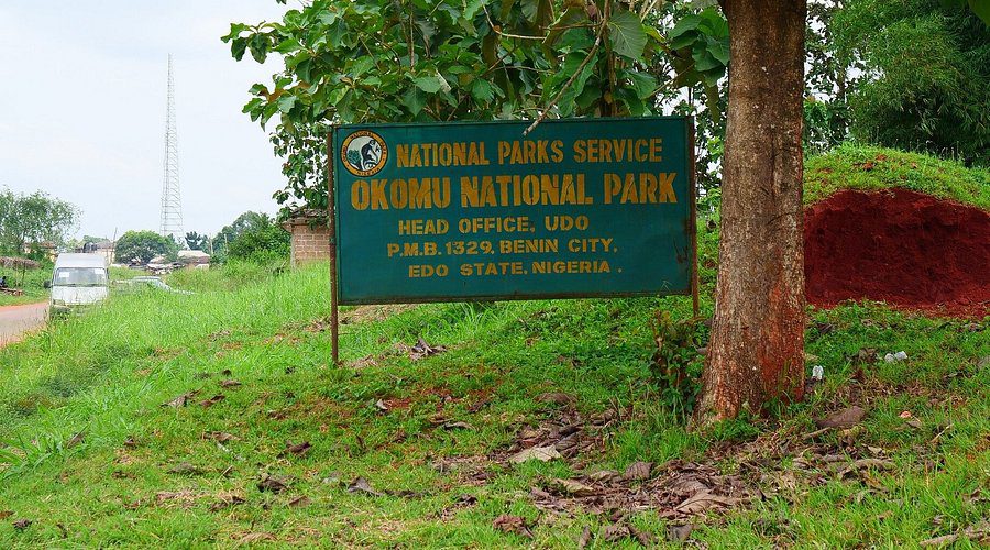 Concerned Groups Partner to Preserve Okomu National Park's Eco-Tourism Potential