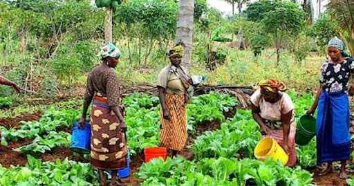 Sustainable Agriculture: Learning from Traditional Farming Methods