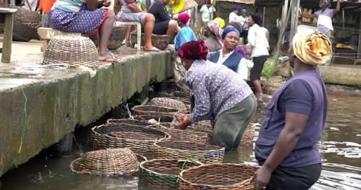 Floating Experience: A Shopping Experience Like No Other