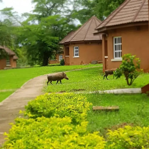 Yankari Game Reserve, Bauchi State