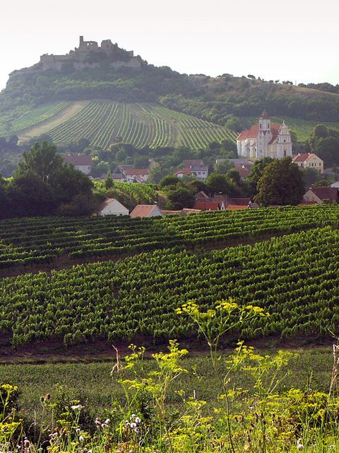 Eco Travel in Nigeria, 8 Smart Tips for Sustainable Trips]