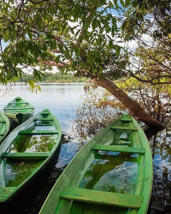 Top Nigeria River Adventures for Eco-Lovers in 2025