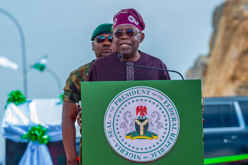 Tinubu Urges African Nations to Embrace Eco-Tourism for Sustainable Growth