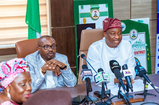 The Impact of Visa Automation on Nigeria’s Tourism Growth