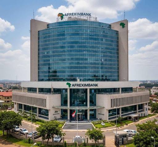 Afreximbank Urges Action as Nigeria’s Medical Tourism Bill Hits $1.1 Billion