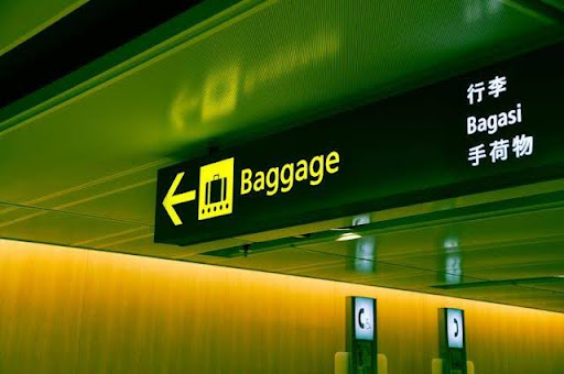 Asia-Pacific Leads in Baggage Handling Efficiency in 2024 as Global Air Travel Soars