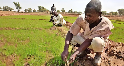 Ahwai People of Nigeria: History, Culture, & Traditions