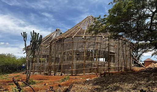 Green Stay Options in Nigeria: Eco-Lodges vs Guesthouses (2025 Guide)