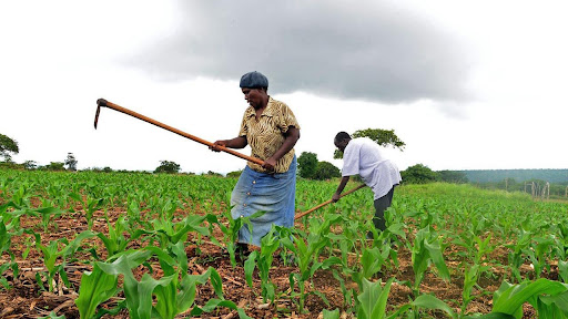 ku-Gora-Ankwa People of Southern Kaduna: Culture, History, & Traditions