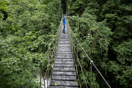 This image depicts a canopy walkway that represents sustainable tourism in Nigeria.