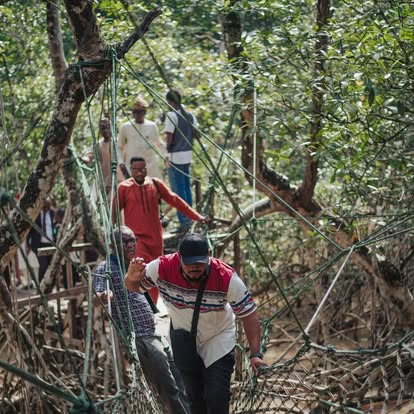 Falcorp Mangrove Park in Warri, Delta State showcasing mangrove conservation in Nigeria with eco-tourism and community initiatives
