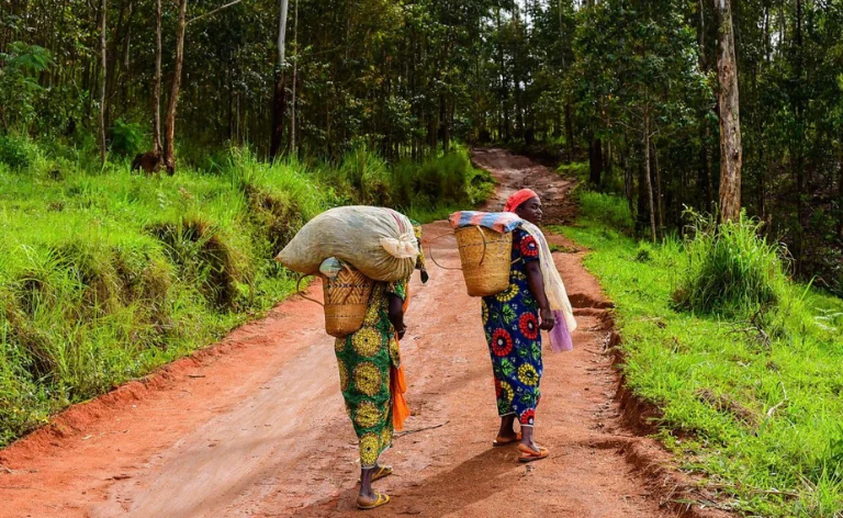 Kaka People of the Mambilla Plateau: A Culture of Balance and Belonging