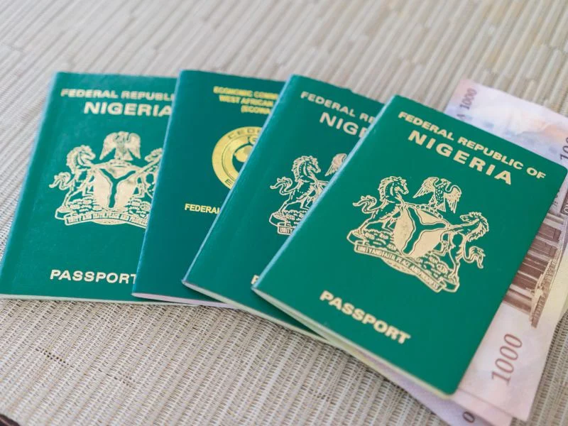 Nigeria Urged to Relax Visa Policies to Boost Tourism and Business