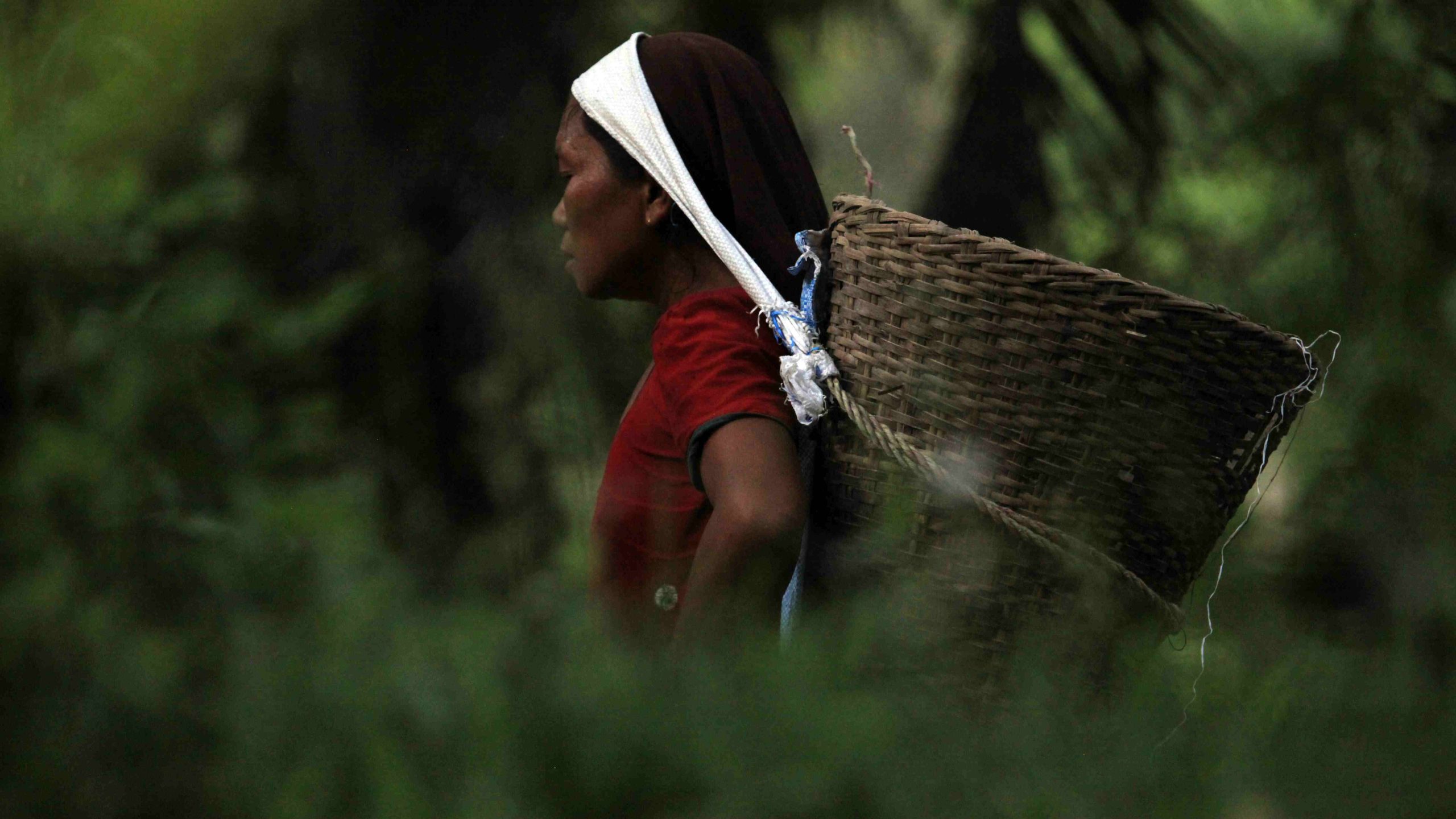 Nigerian rural women conserving biodiversity through farming and indigenous knowledge in 2025