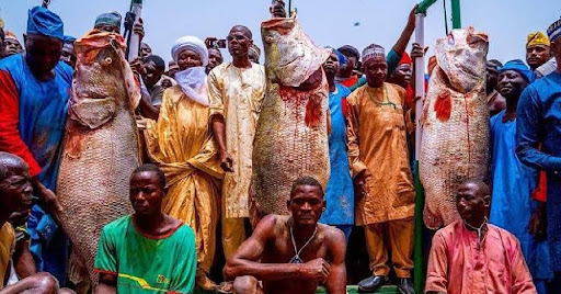 The Legend and the Peace: Argungu Fishing Festival on the Matan Fada River