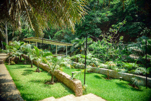 Why Visit Sarius Palmetum Botanical Garden, Abuja: Nature’s Quiet Escape