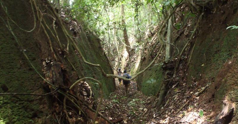 The Great Wall of Ijebu-Ode: Nigeria’s Hidden Cultural Landmark & Ancient Wonder
