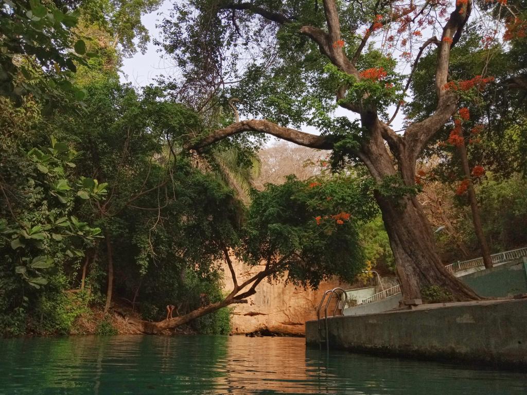 Wikki Warm Spring in Bauchi: A Complete Guide to Nigeria’s Top Ecotourism Destination