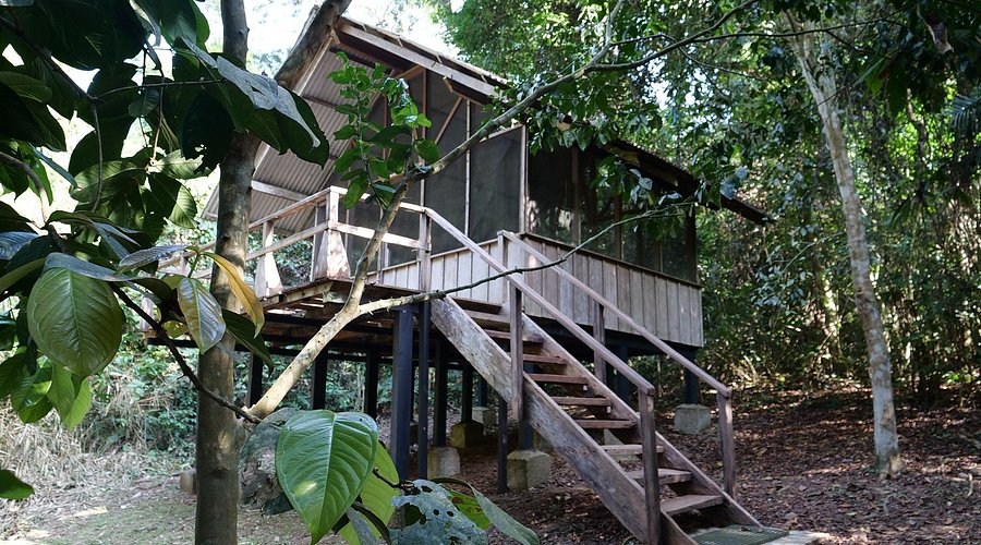 Top 10 Thrilling Adventure Activities To Do in Calabar (2025 Guide)