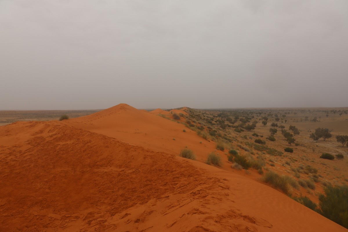 Cultural Trails and Desert Adventures In Northern Nigeria