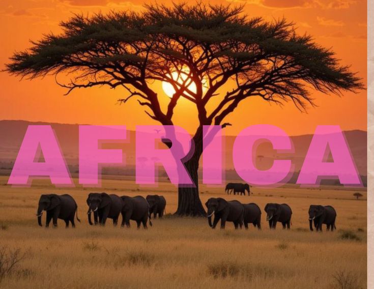 Best Tourist Destinations in Africa in 2026 (Top Must-Visit Places)