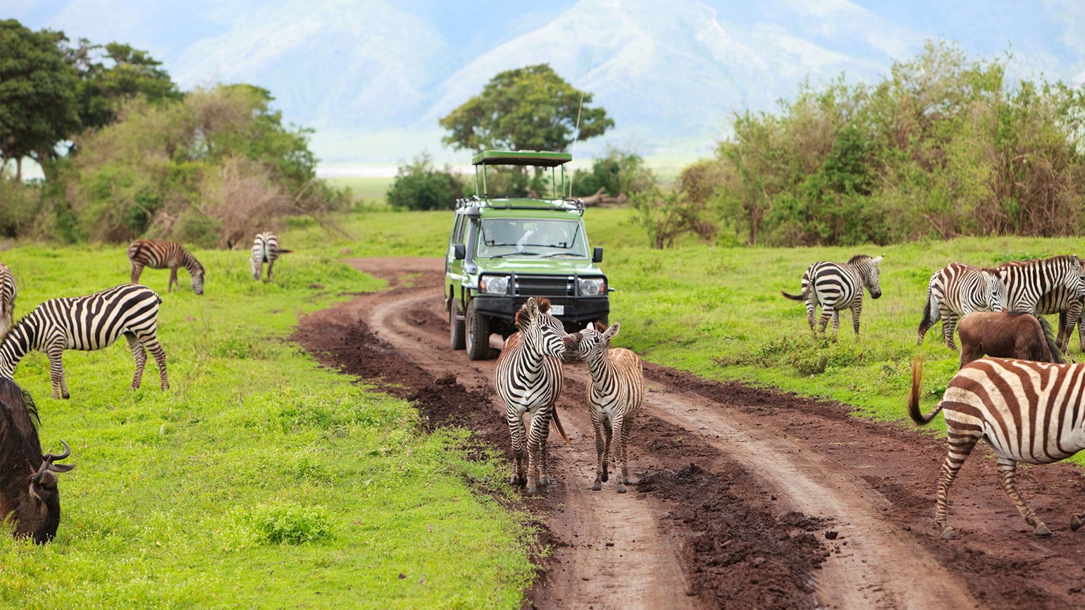 Tanzania’s Tourism Sector Shatters Records with $4.2 Billion Revenue Milestone