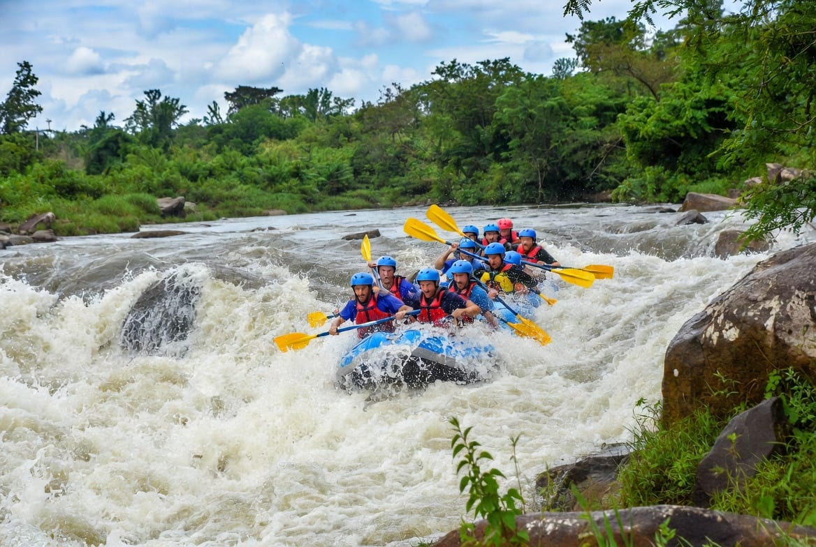 Pearl of Africa's Playbook: How Uganda is Luring Europe with Gorilla Safaris and Cultural Treasures