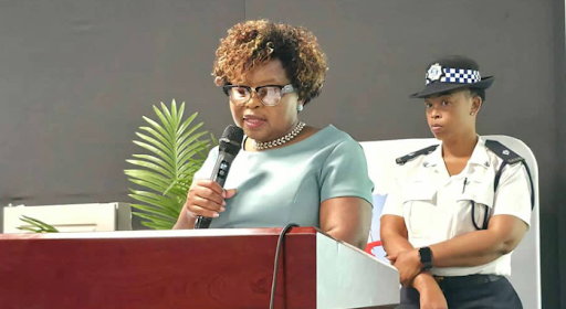 Eswatini Records 16.3% Surge in International Tourist Arrivals as Regional Tourism Booms