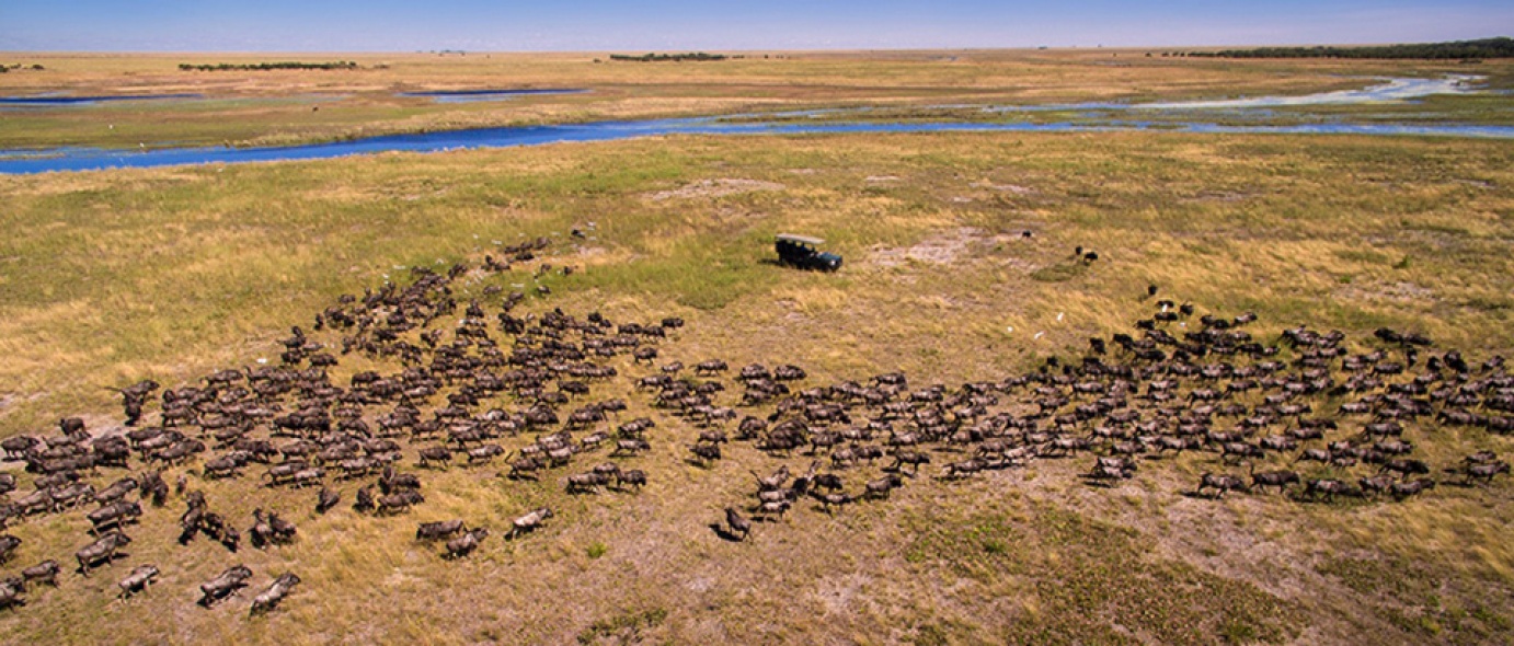 Liuwa Plain National Park: Zambia's Hidden Wildlife Wilderness